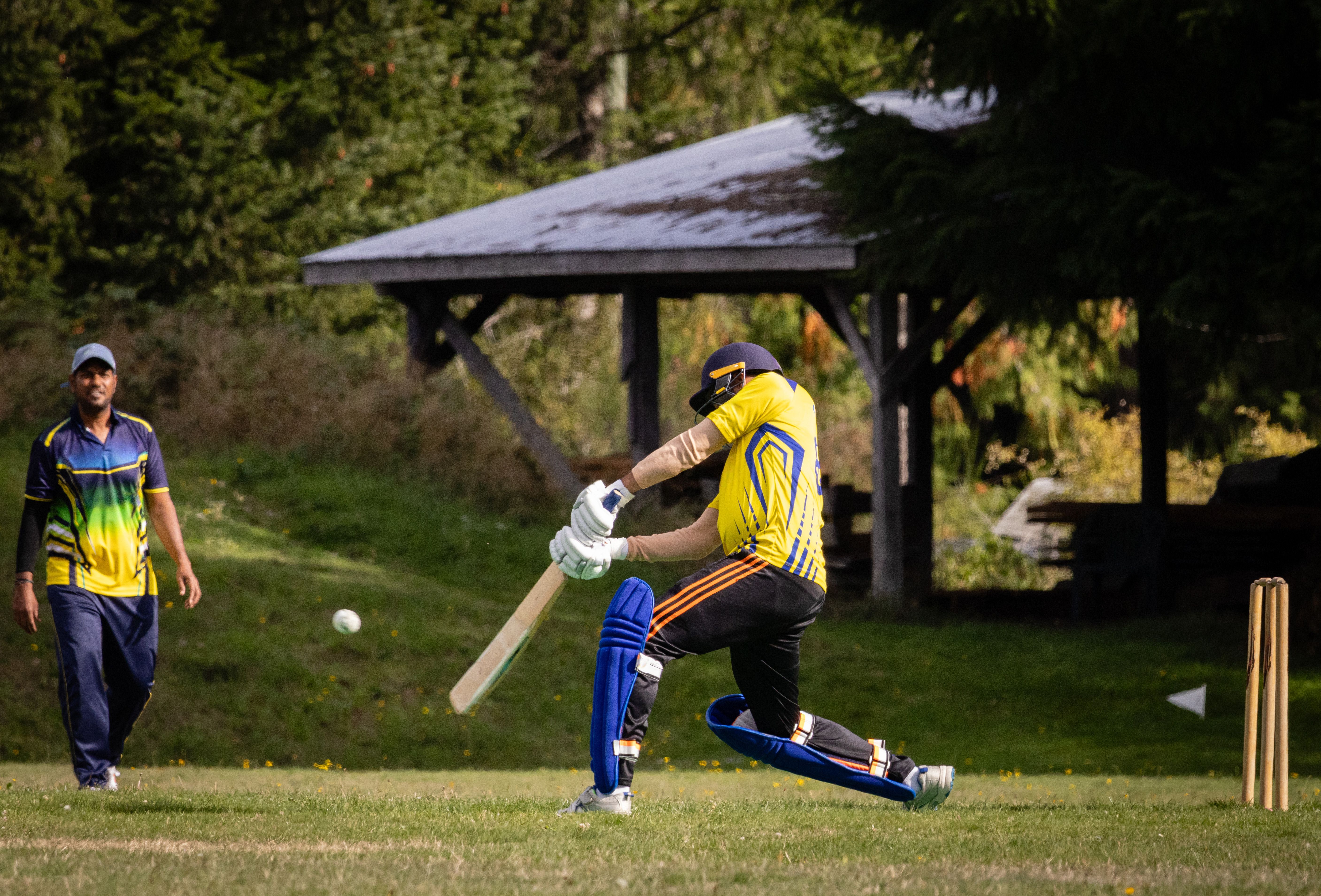 Cricket action under lights